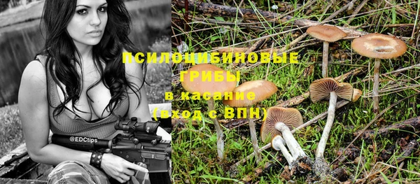 а пвп мука Касимов