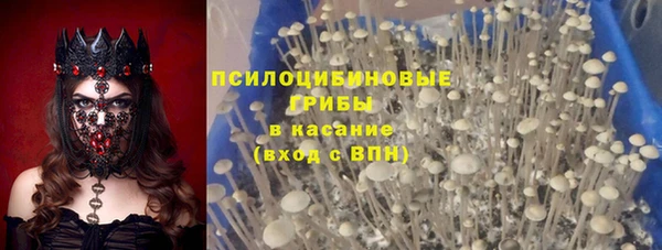 а пвп мука Касимов